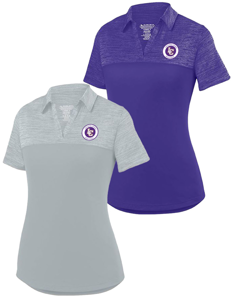Picture of Ladies Shadow Tonal Heather Polo